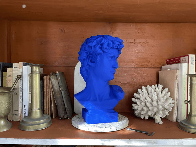 Buste tête de David