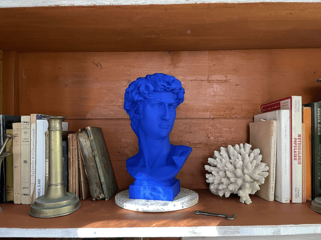 Buste tête de David