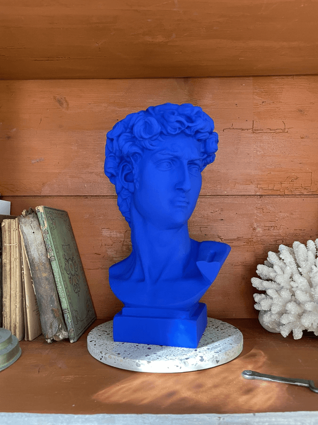 Buste tête de David